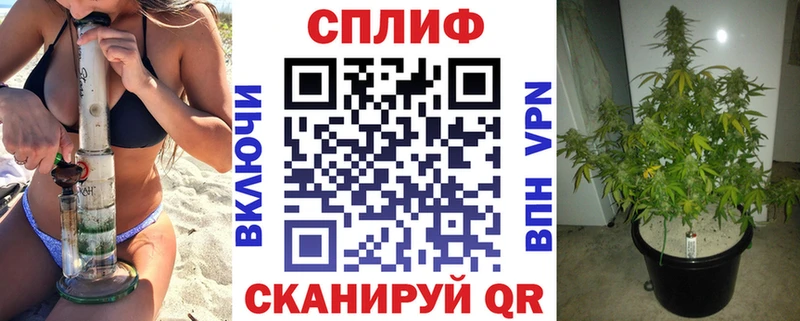 Сколько стоит Новомичуринск COCAIN Бошки Шишки МЕФ А ПВП Псилоцибиновые грибы МЕТАМФЕТАМИН Гашиш