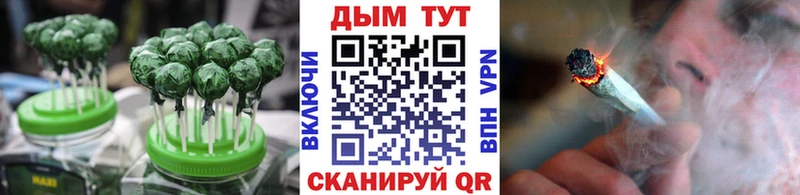 Canna-Cookies марихуана  darknet Telegram  Новомичуринск 