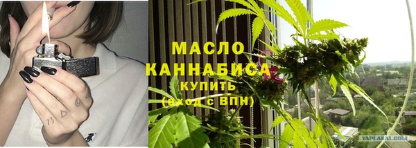 твердый Горняк