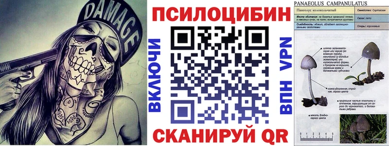 дарк нет наркотические препараты  Новомичуринск  Галлюциногенные грибы Psilocybine cubensis 